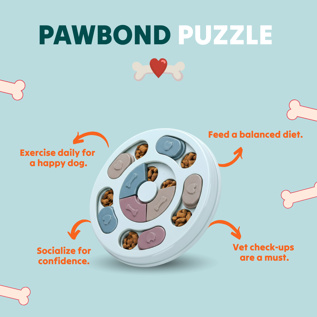 Paw Bounds™ Dog Puzzle Toy – Interactive Food Game for Mental Stimulation