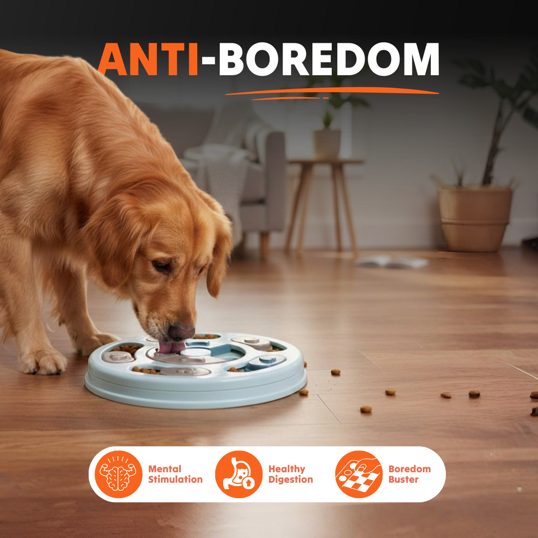 Paw Bounds™ Dog Puzzle Toy – Interactive Food Game for Mental Stimulation