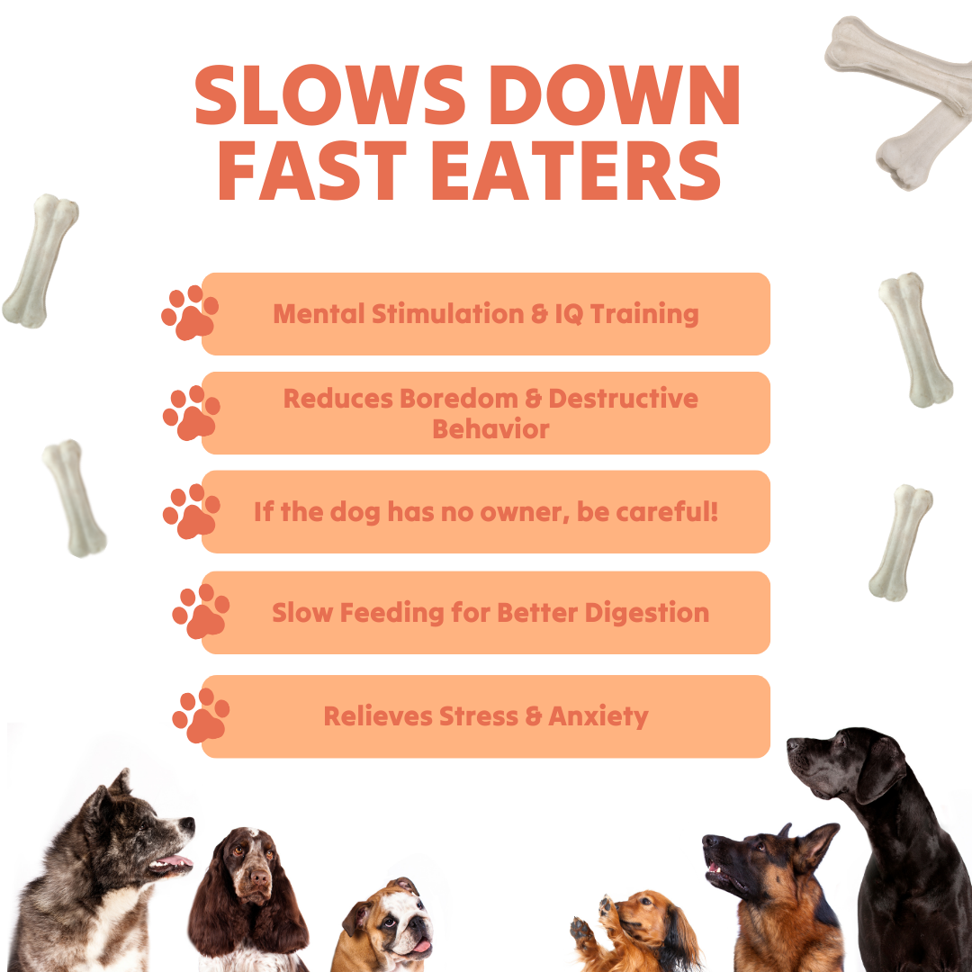 Paw Bounds™ Dog Puzzle Toy – Interactive Food Game for Mental Stimulation