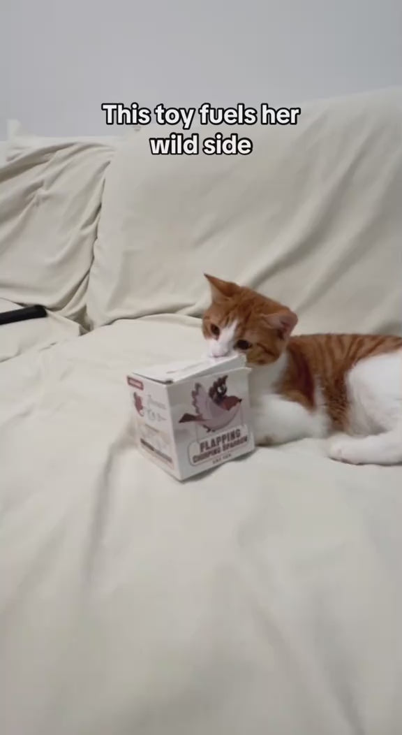 Interactive Cat Flapping Bird Toy